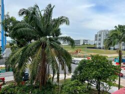 CROWNE PLAZA CHANGI AIRPORT (D17), Factory #456159891